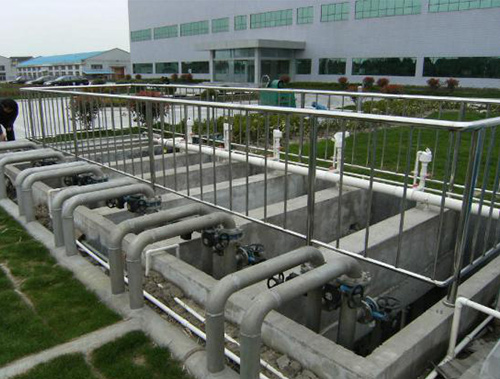 上海力揚制藥有限公司