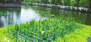 我公司想上一個(gè)污水處理項(xiàng)目，制訂技術(shù)方案時(shí)需要提供哪些資料？